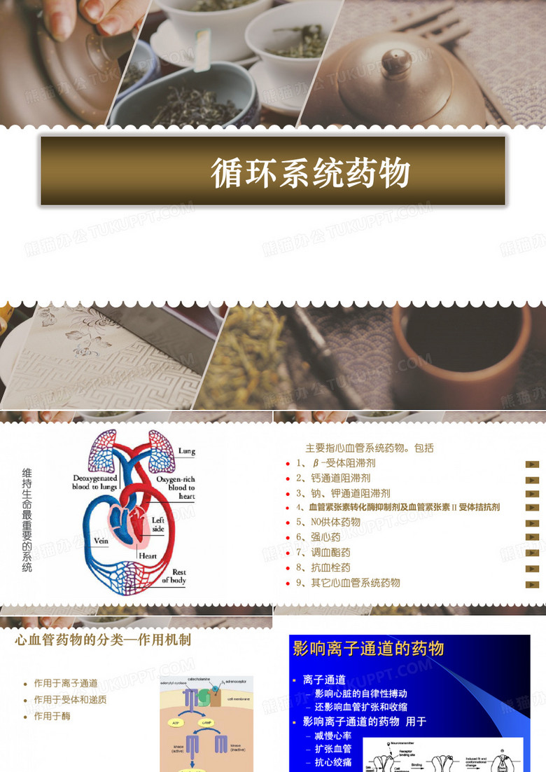 循环系统药物(药物化学)