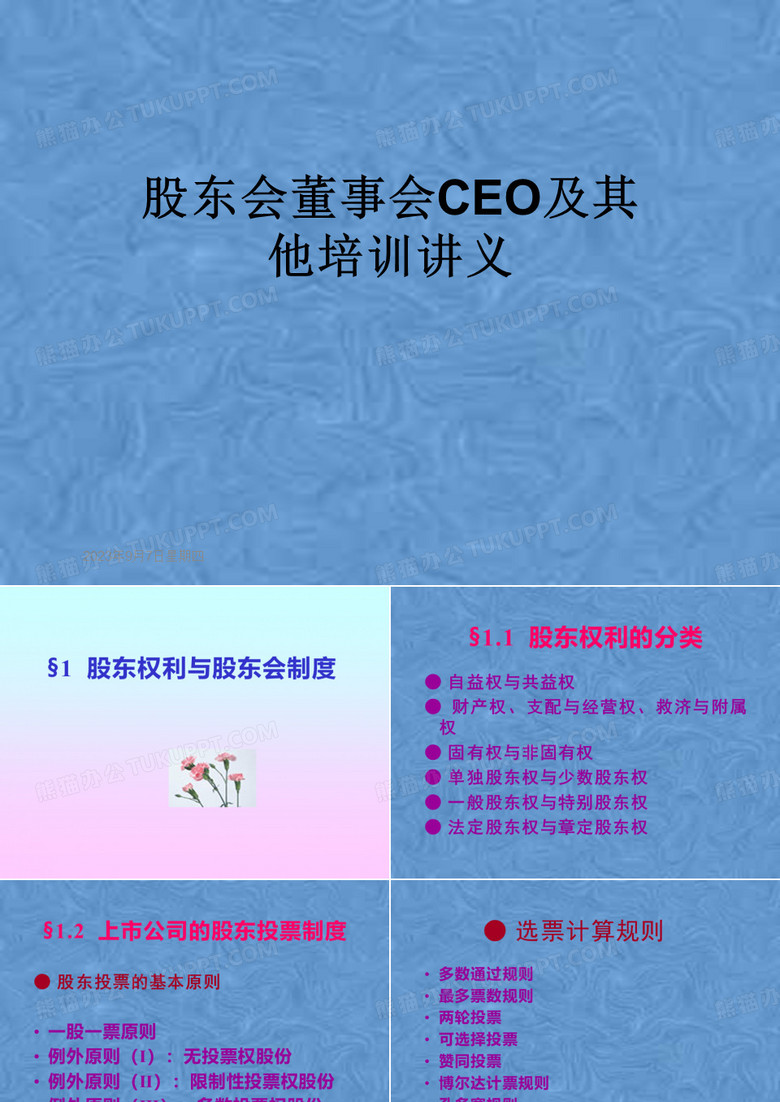 股东会董事会CEO及其他培训讲义