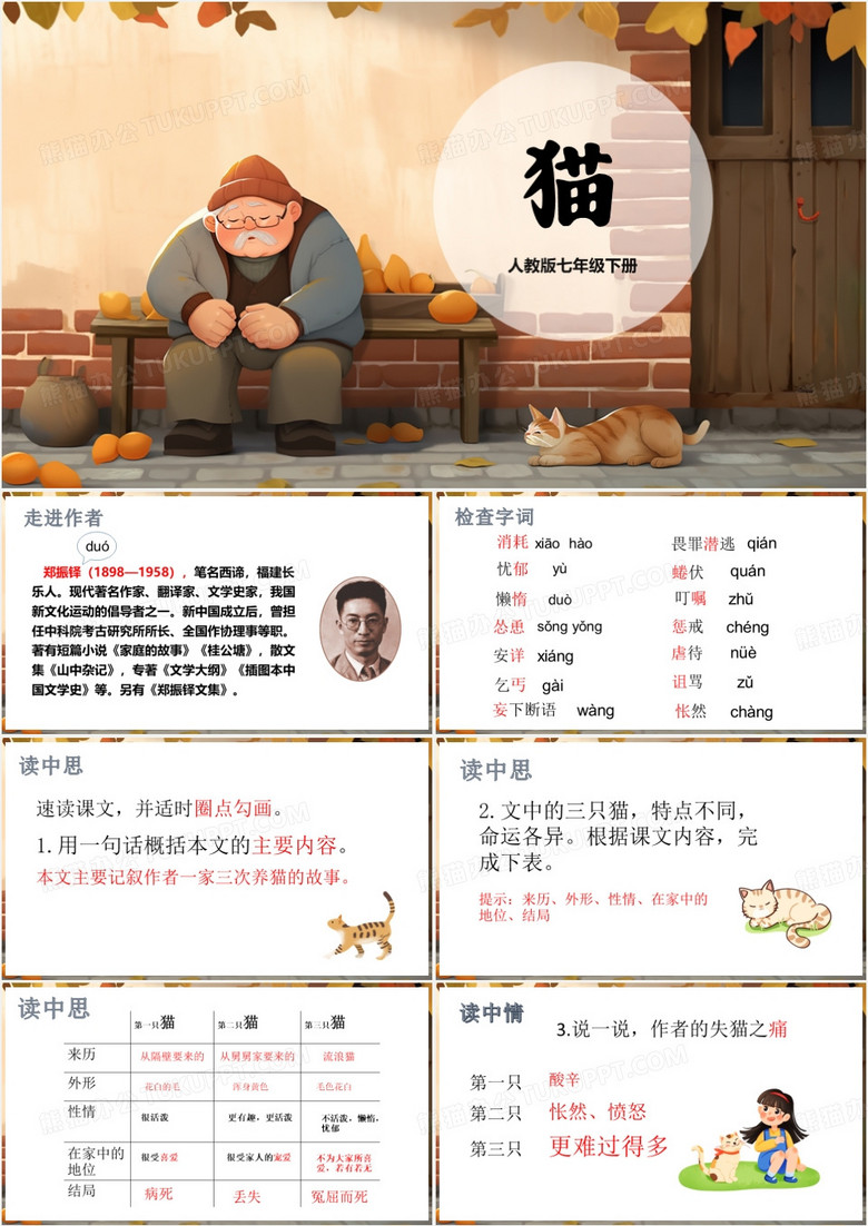 人教版七年级下册猫PPT模板