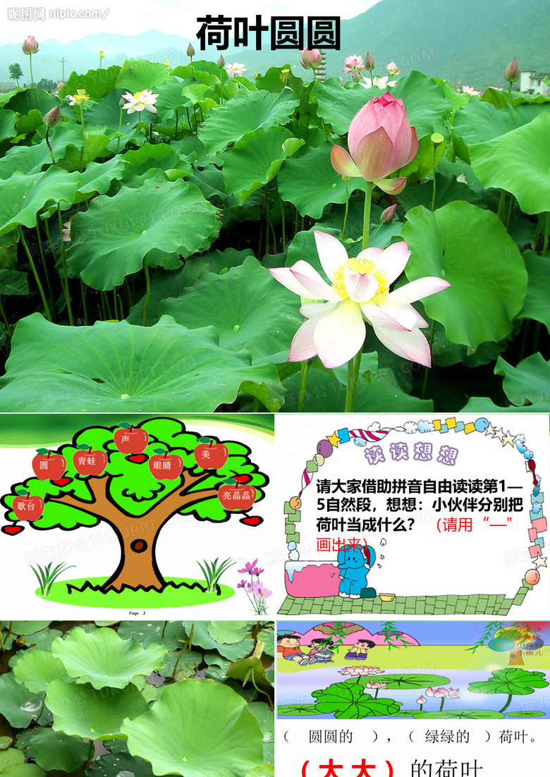评优课