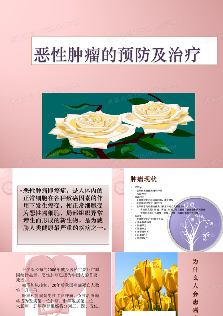 张仲益肿瘤健康教育课件
