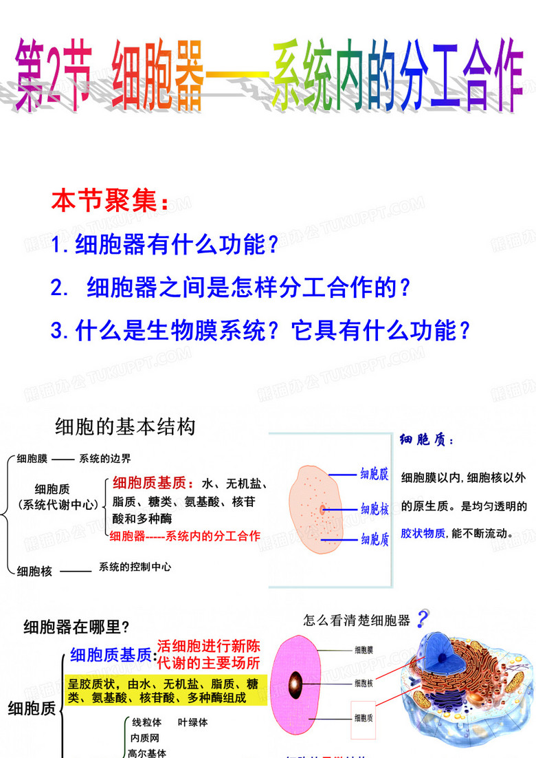 细胞器—系统内的分工合作