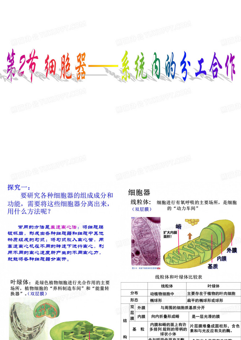 细胞器──系统内的分工合作