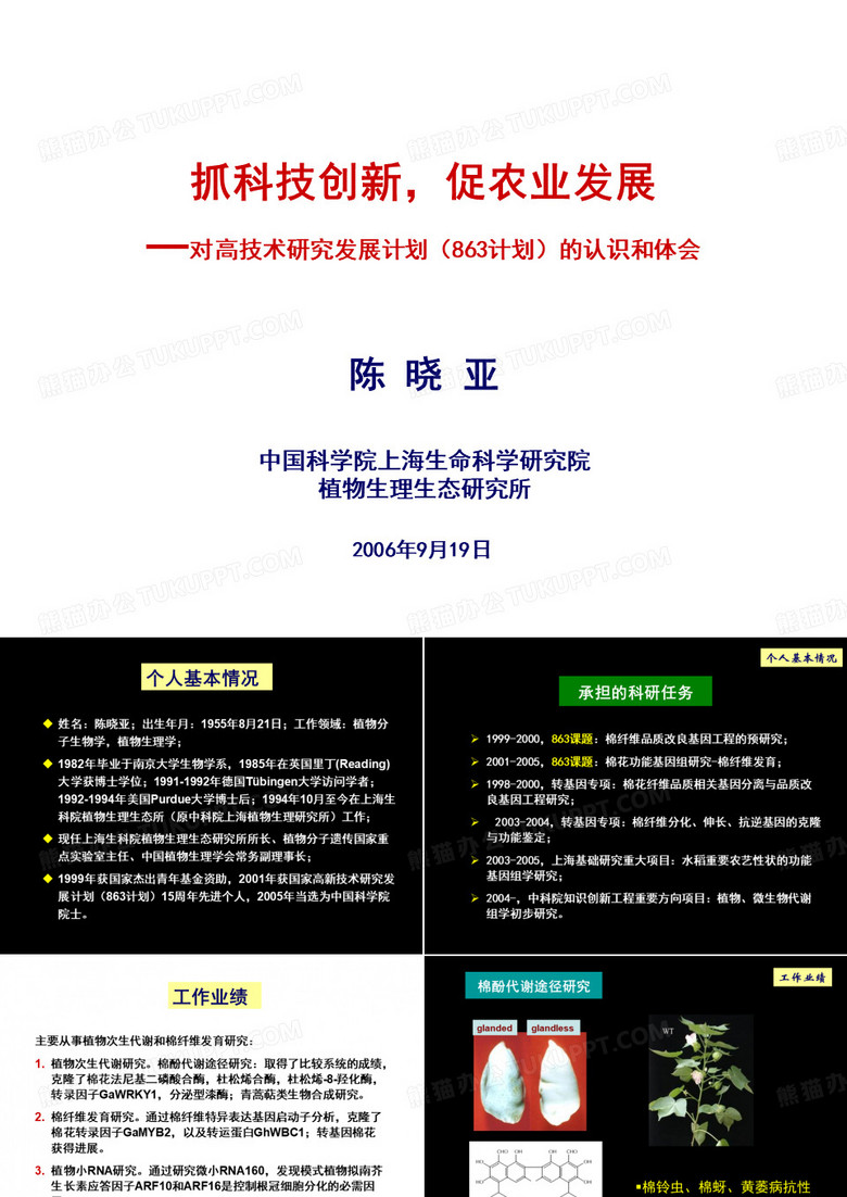抓科技创新,促农业发展