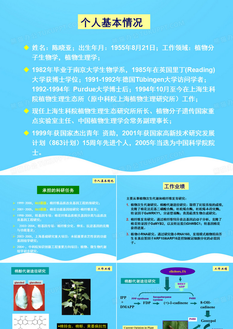 抓科技创新,促农业发展精选PPT