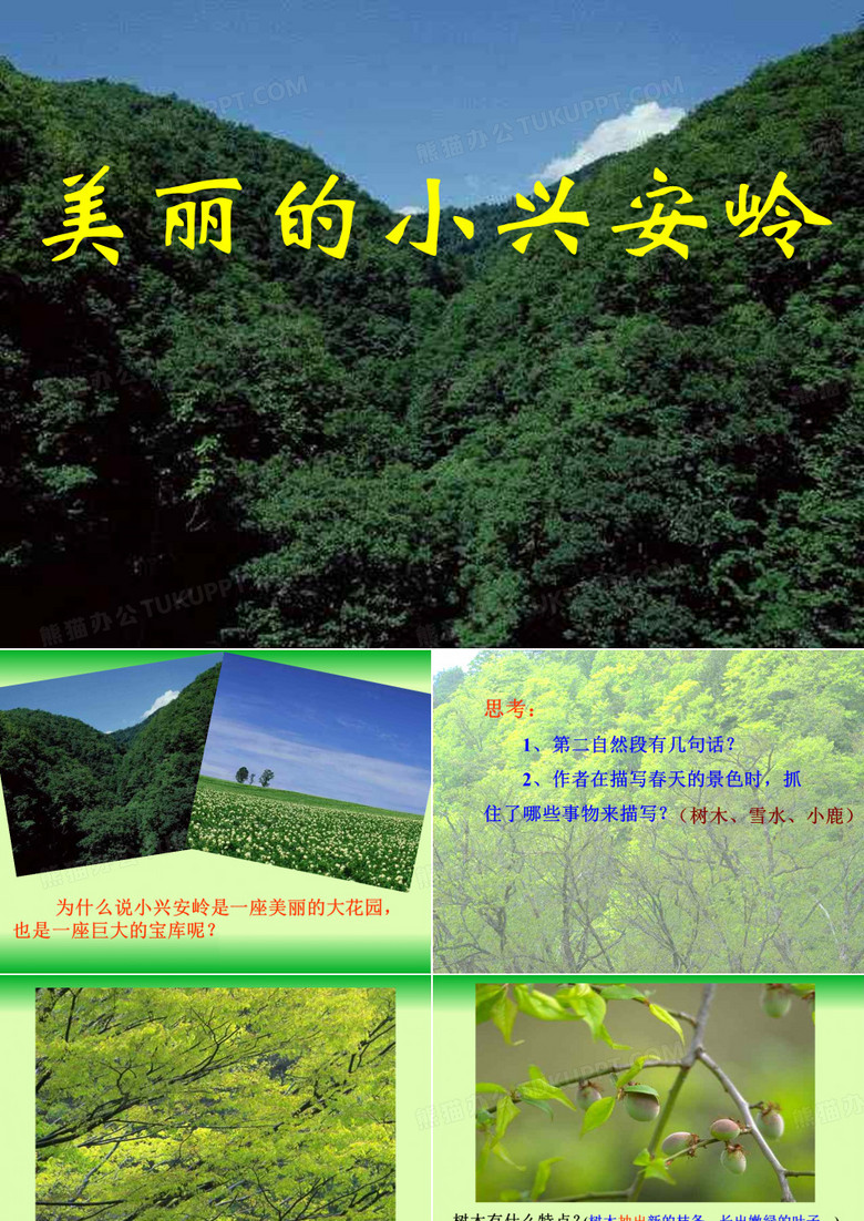 美丽的小兴安岭