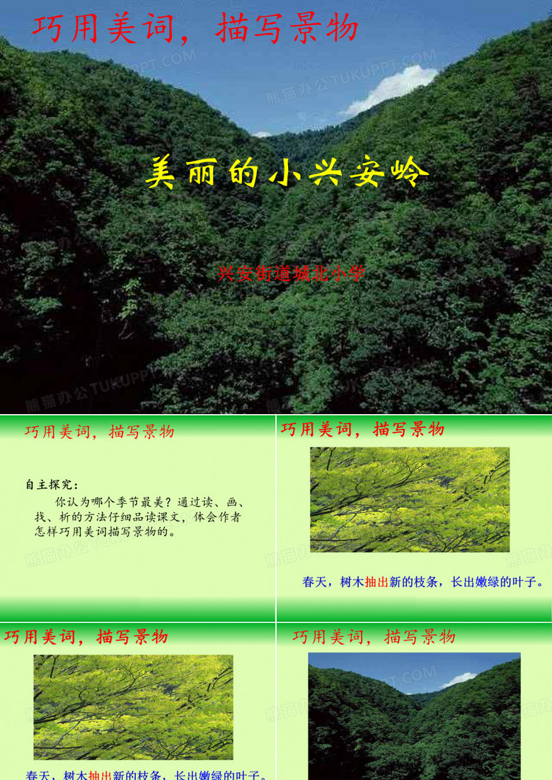 美丽的小兴安岭