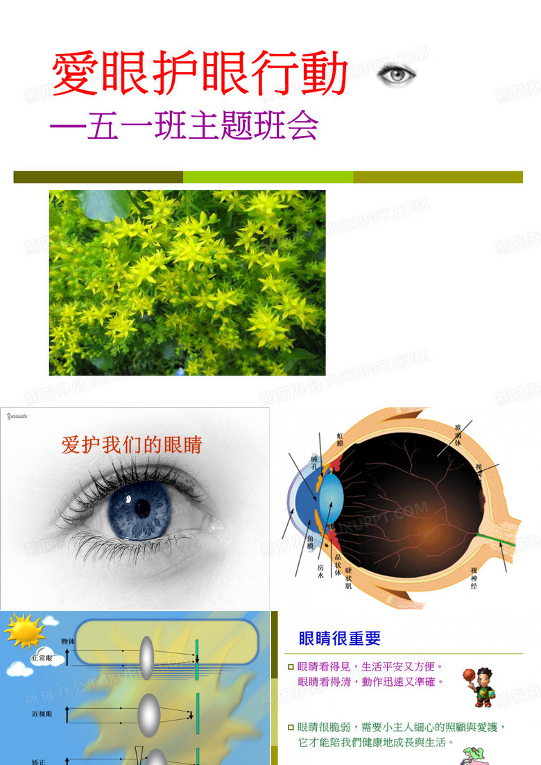 爱眼护眼
