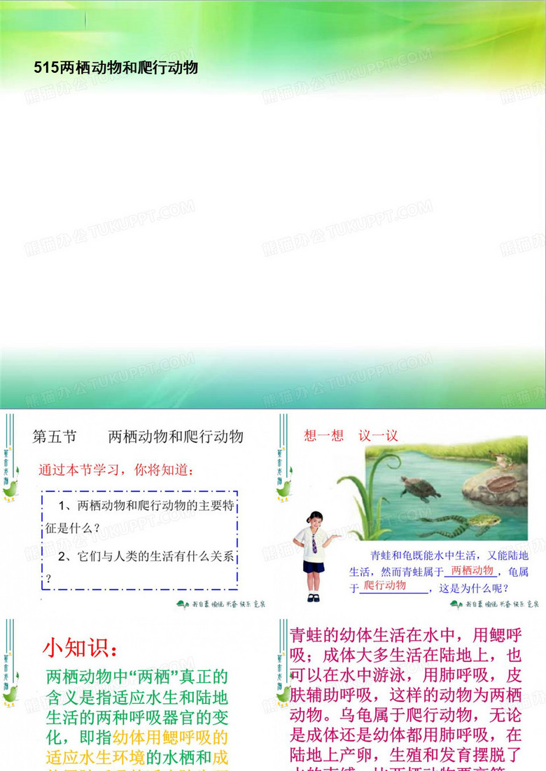 515两栖动物和爬行动物