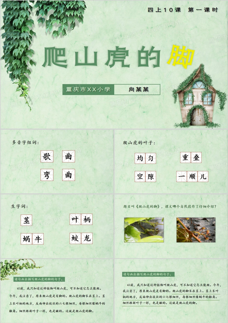 绿色小清新爬山虎的脚PPT模板