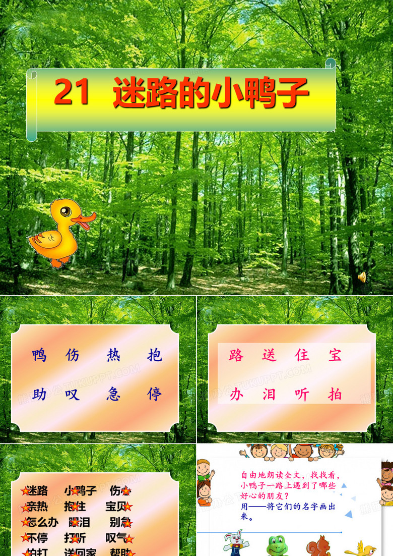 迷路的小鸭子