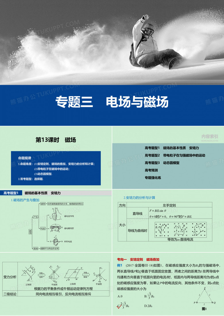 新教材高中物理二轮复习精品 专题三 第13课时 磁场