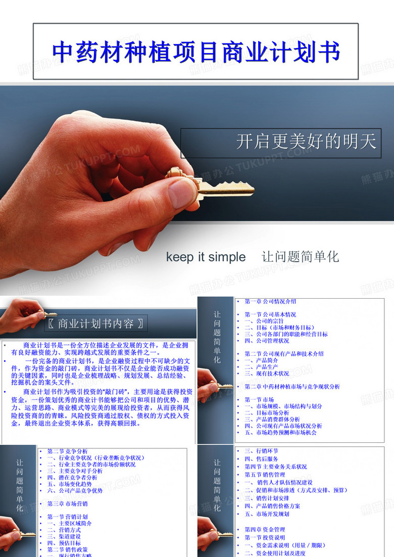 中药材种植项目商业计划书