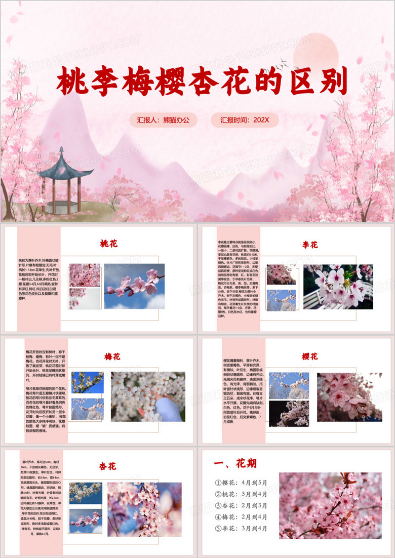 粉色小清新桃李梅樱杏花的区别PPT模板