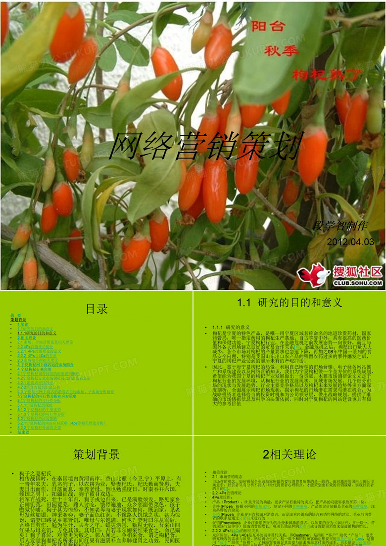 网络营销策划