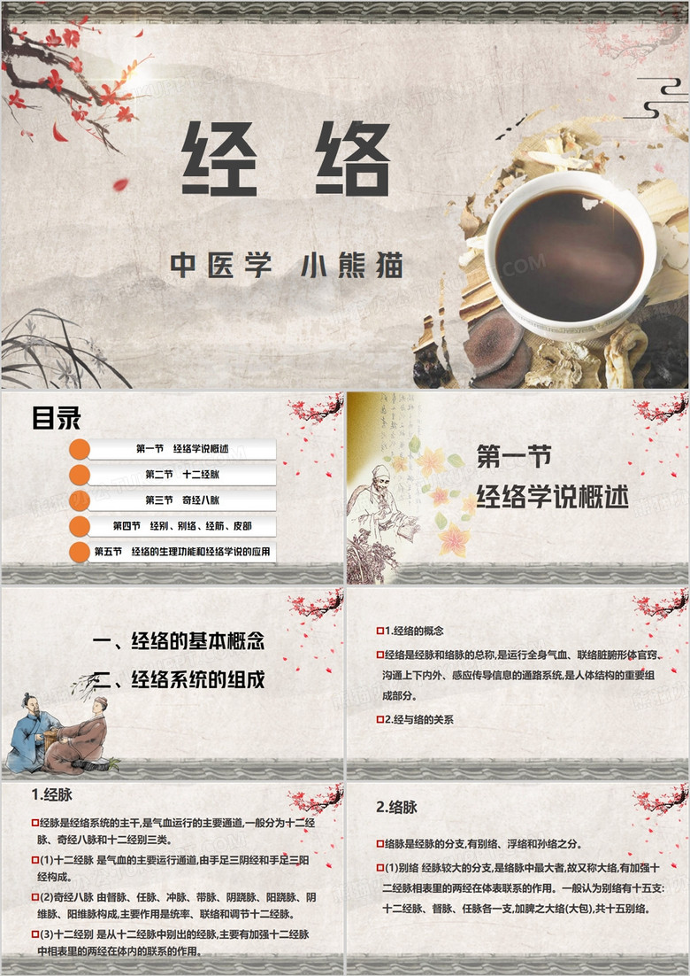 经络中医基础理论PPT模板
