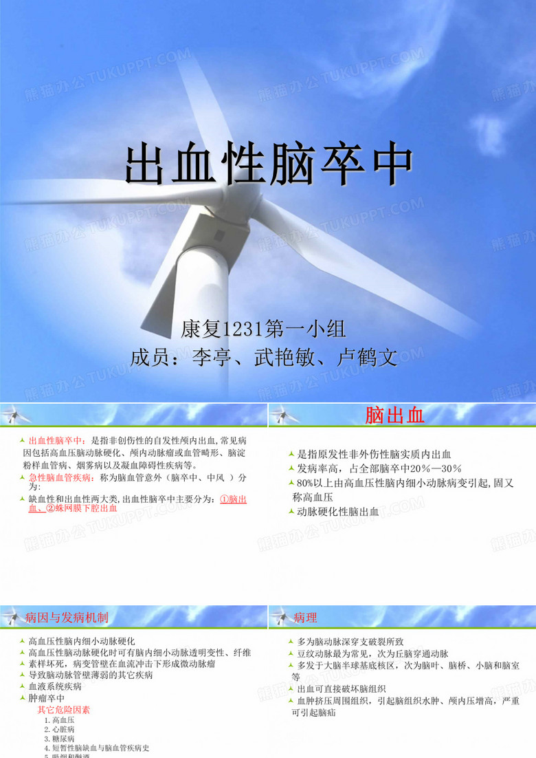 出血性脑卒中ppt