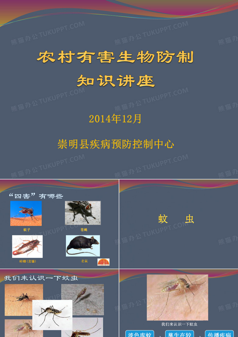 农村除四害知识讲座