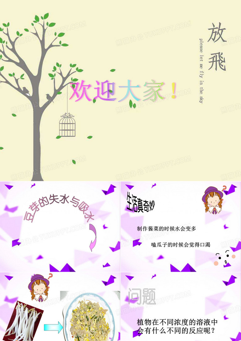 豆芽 PPT
