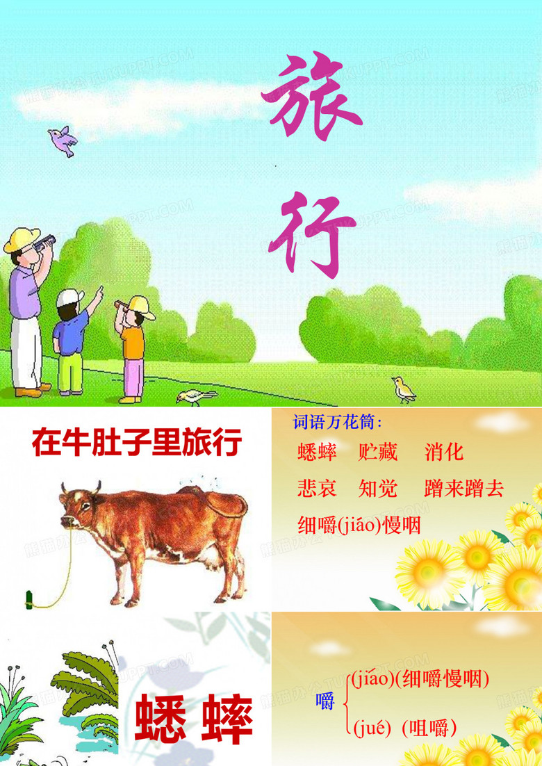在牛肚子里旅行