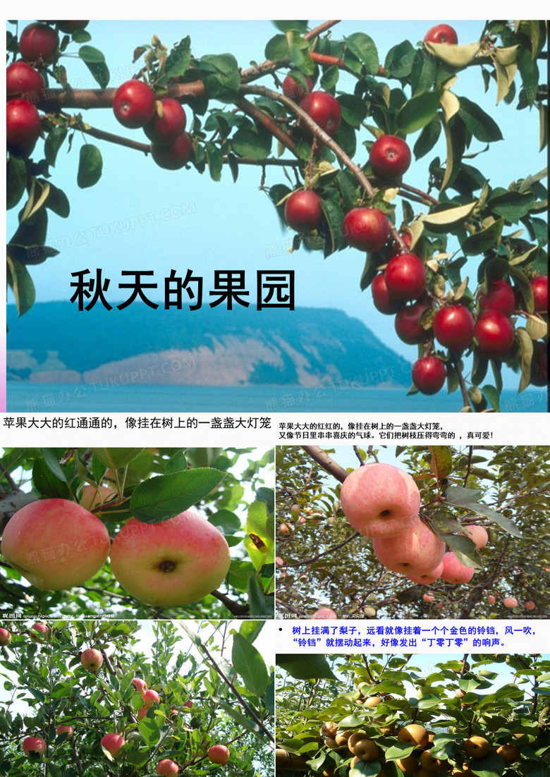 秋天的果园.