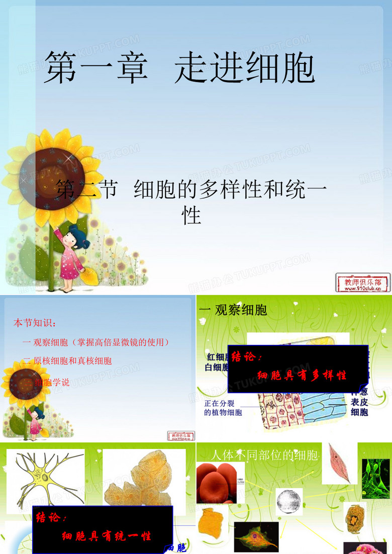 细胞的多样性和统一性