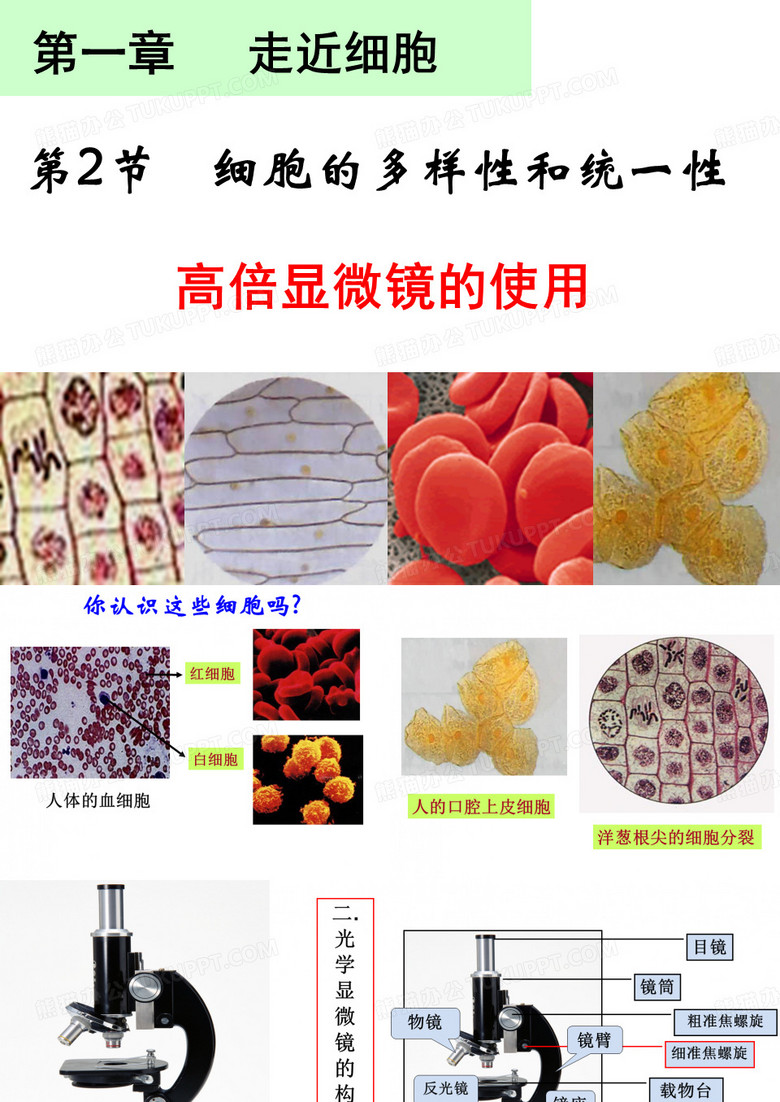 细胞的多样性和统一性