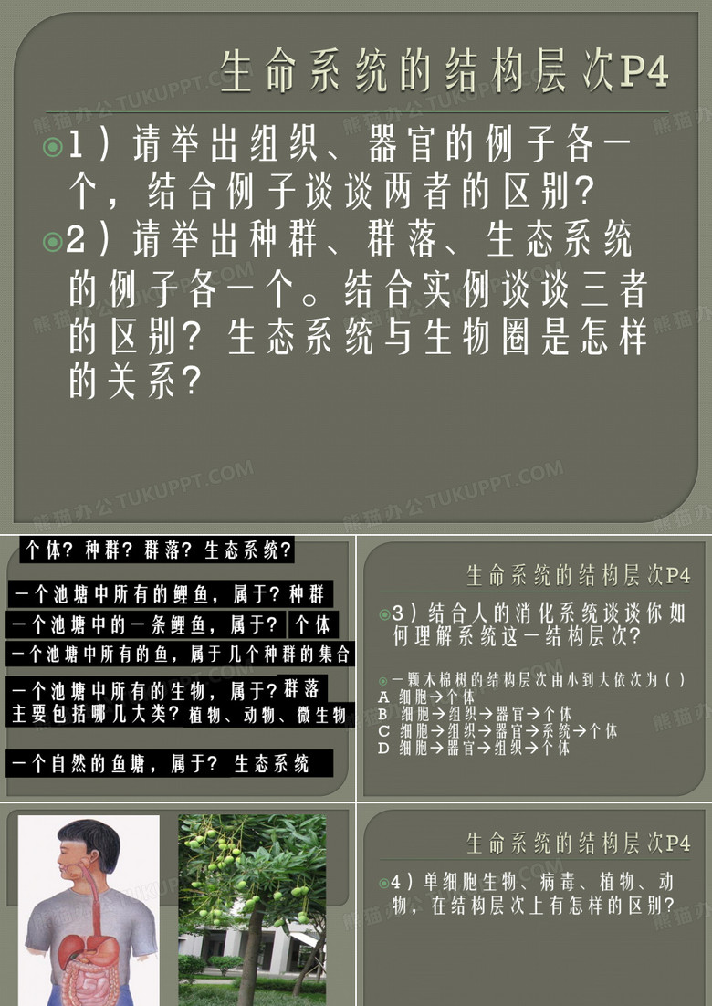 细胞多样性和统一性