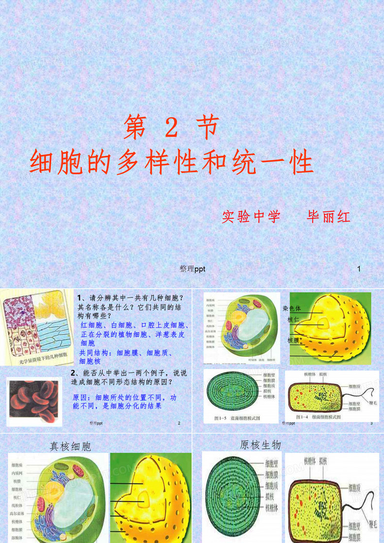 细胞多样性和统一性