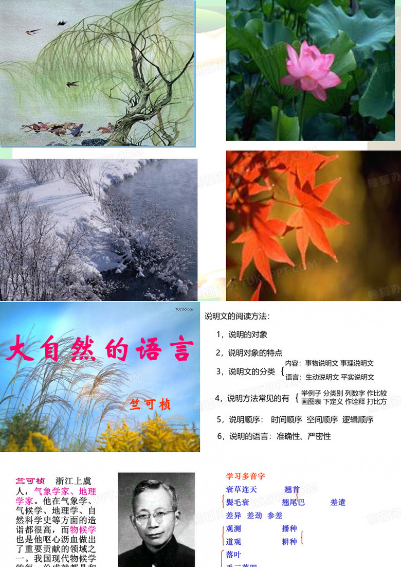 大自然的语言课件