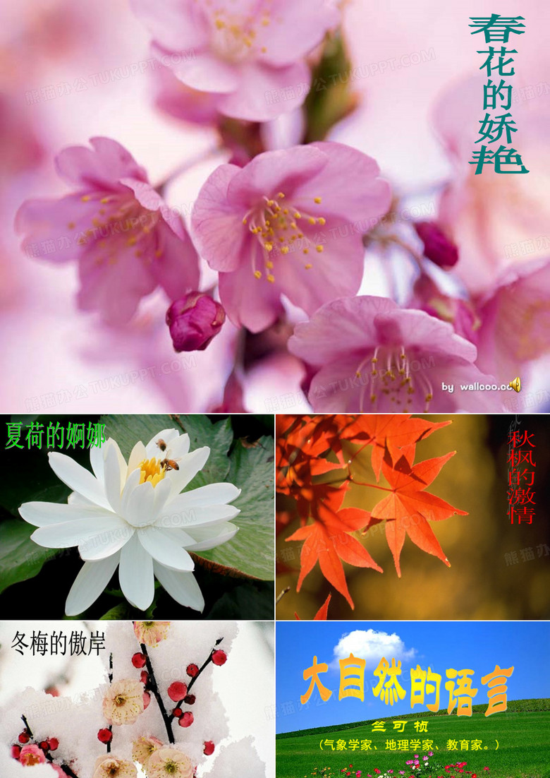 大自然的语言课件