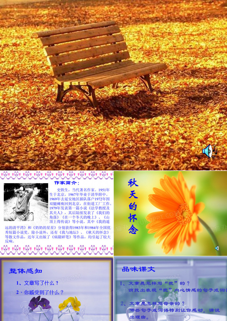 史铁生PPT