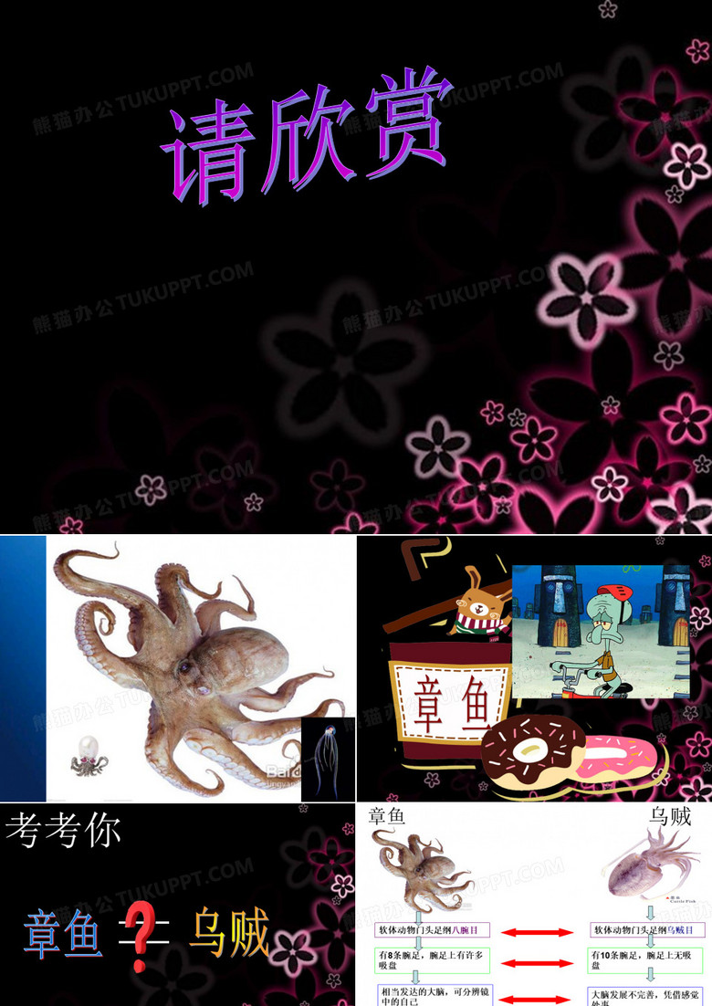 可爱的章鱼
