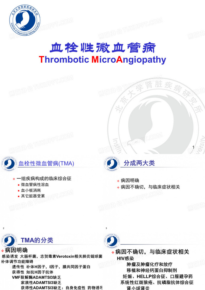 TMA 北大