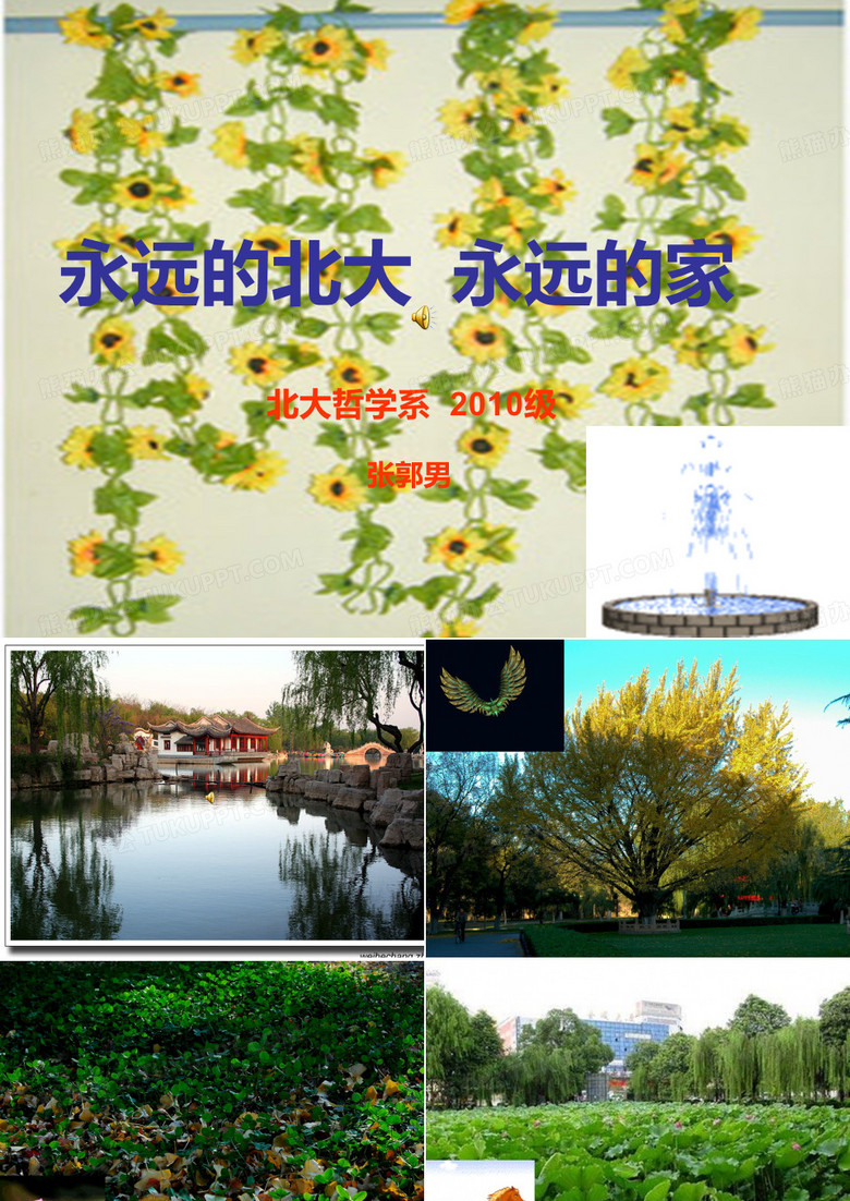北大风景