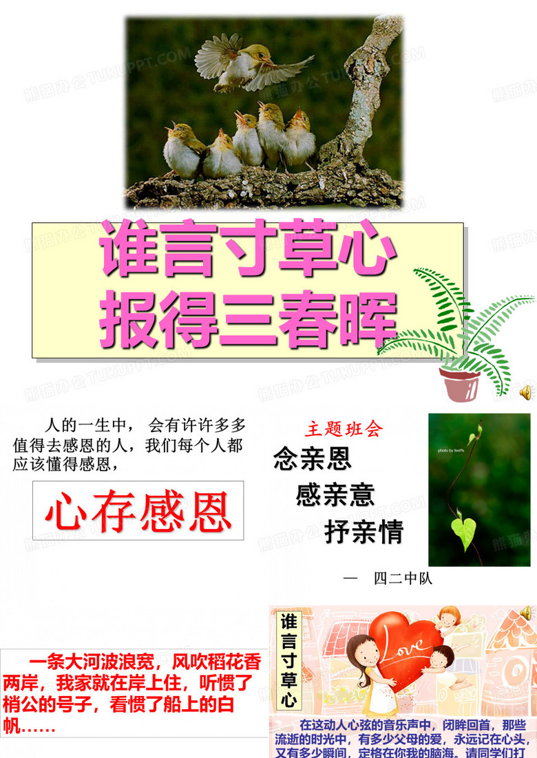 念亲恩 感亲恩 抒亲情 主题班会课件