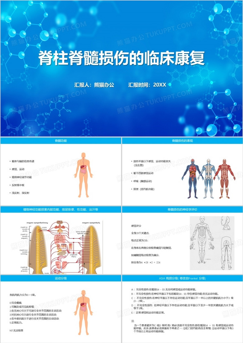 蓝色脊柱脊髓损伤的临床康复PPT模板