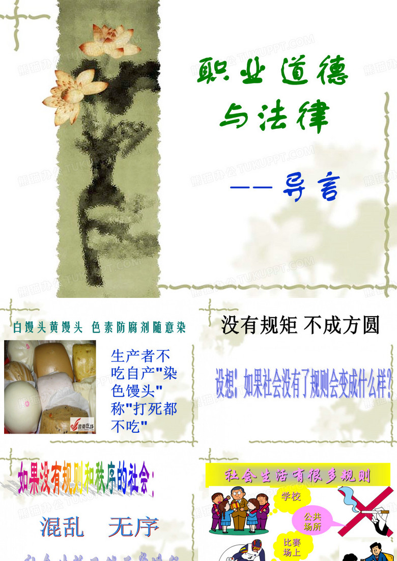 职业道德和法律导言PPT