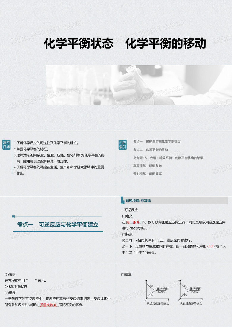 化学平衡状态 化学平衡的移动