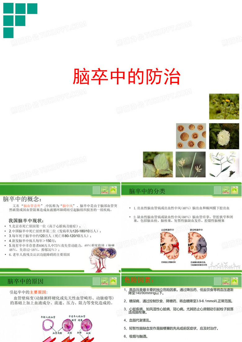 脑卒中防治知识讲座