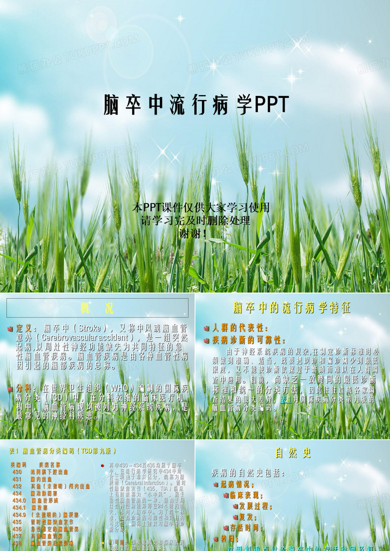 脑卒中流行病学PPT