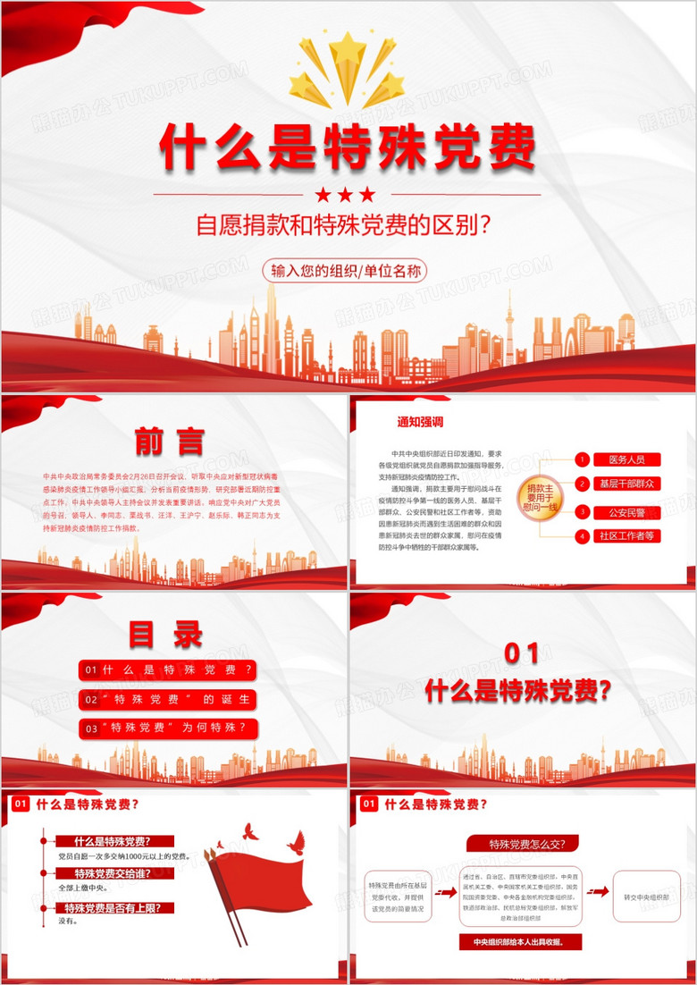 红色什么是特殊党费PPT模板
