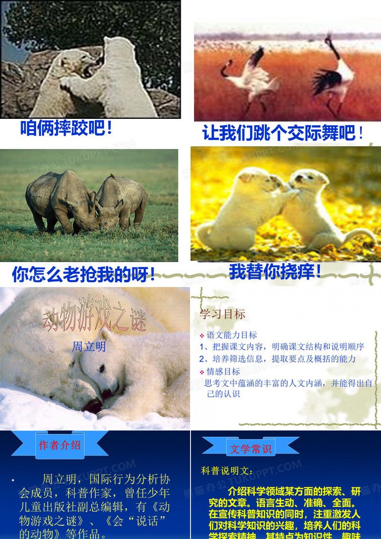 咱俩摔跤吧!