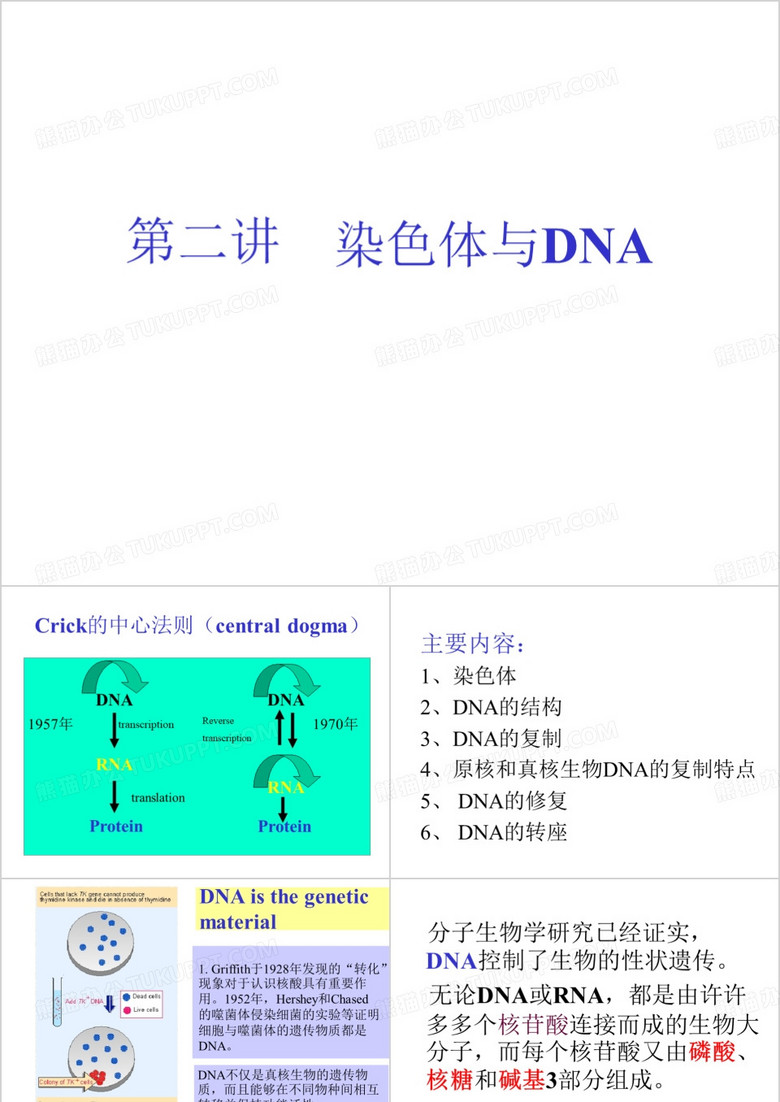 分子生物学
