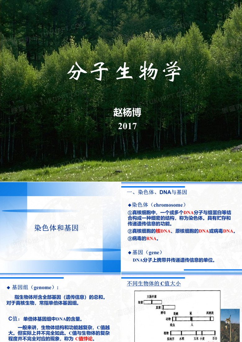 分子生物学