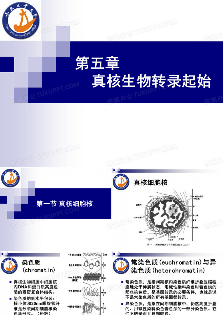 分子生物学 