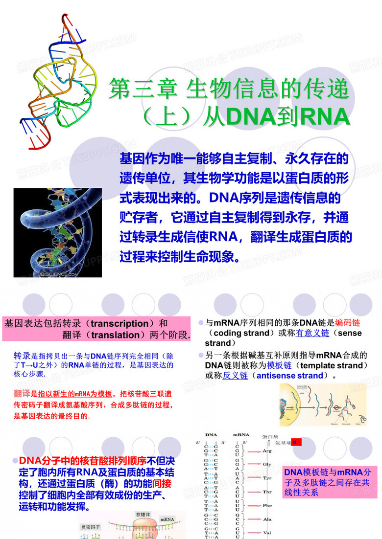 分子生物学