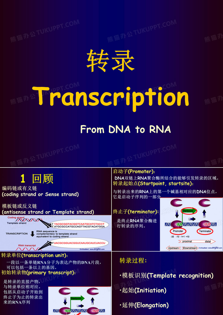 分子生物学