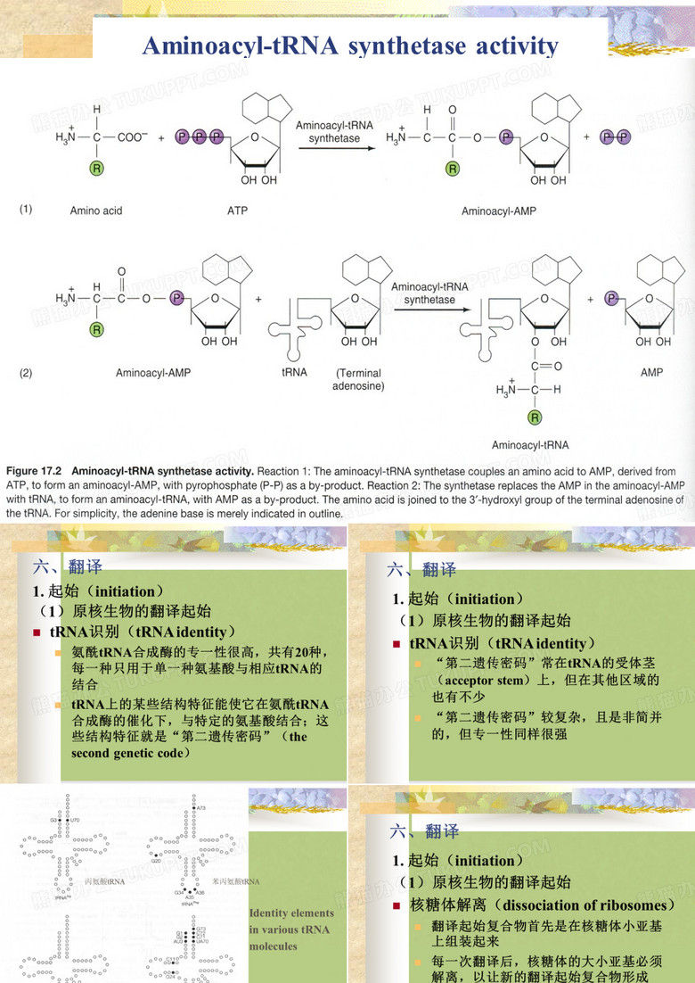 分子生物学