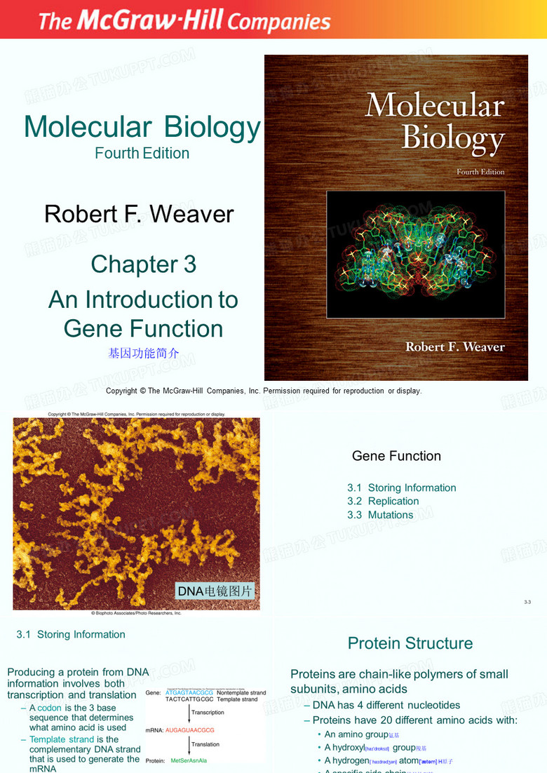分子生物学